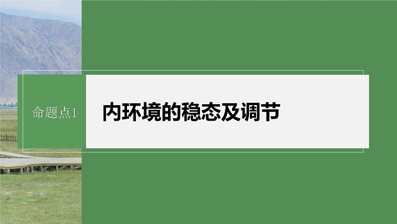 第一篇　主题三　专题(八)　命题点1　内环境的稳态及调节 2024年高考生物二轮复习课件+讲义07