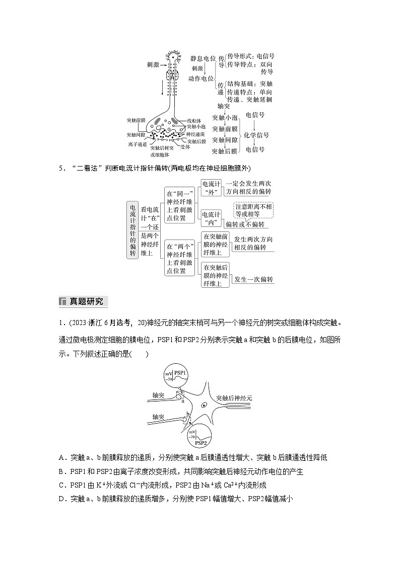 第一篇　主题三　专题(八)　命题点2　神经调节（教师版）第2页