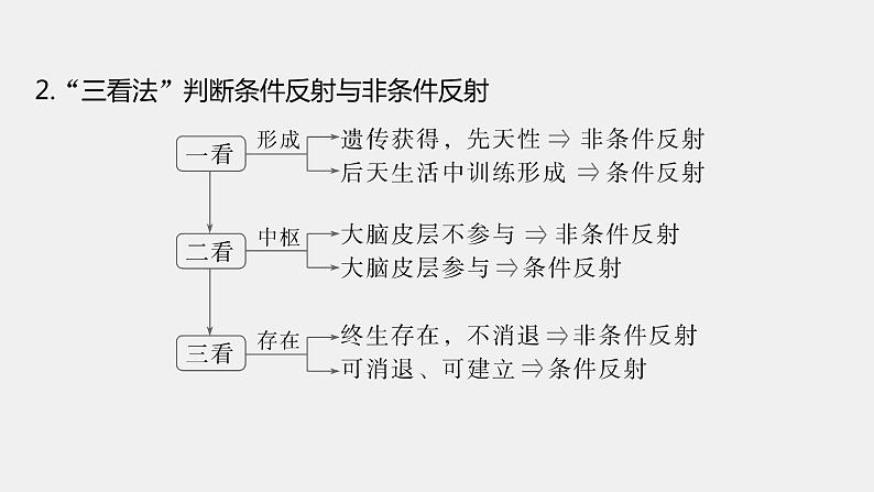 第一篇　主题三　专题(八)　命题点2　神经调节第5页