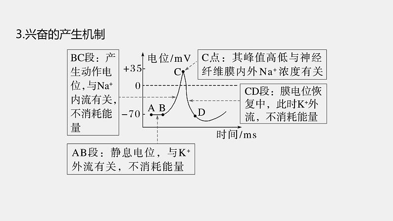 第一篇　主题三　专题(八)　命题点2　神经调节第6页