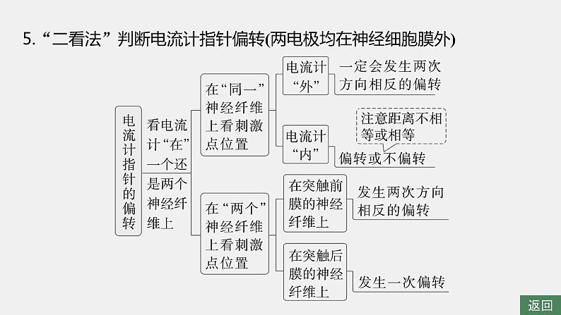 第一篇　主题三　专题(八)　命题点2　神经调节第8页