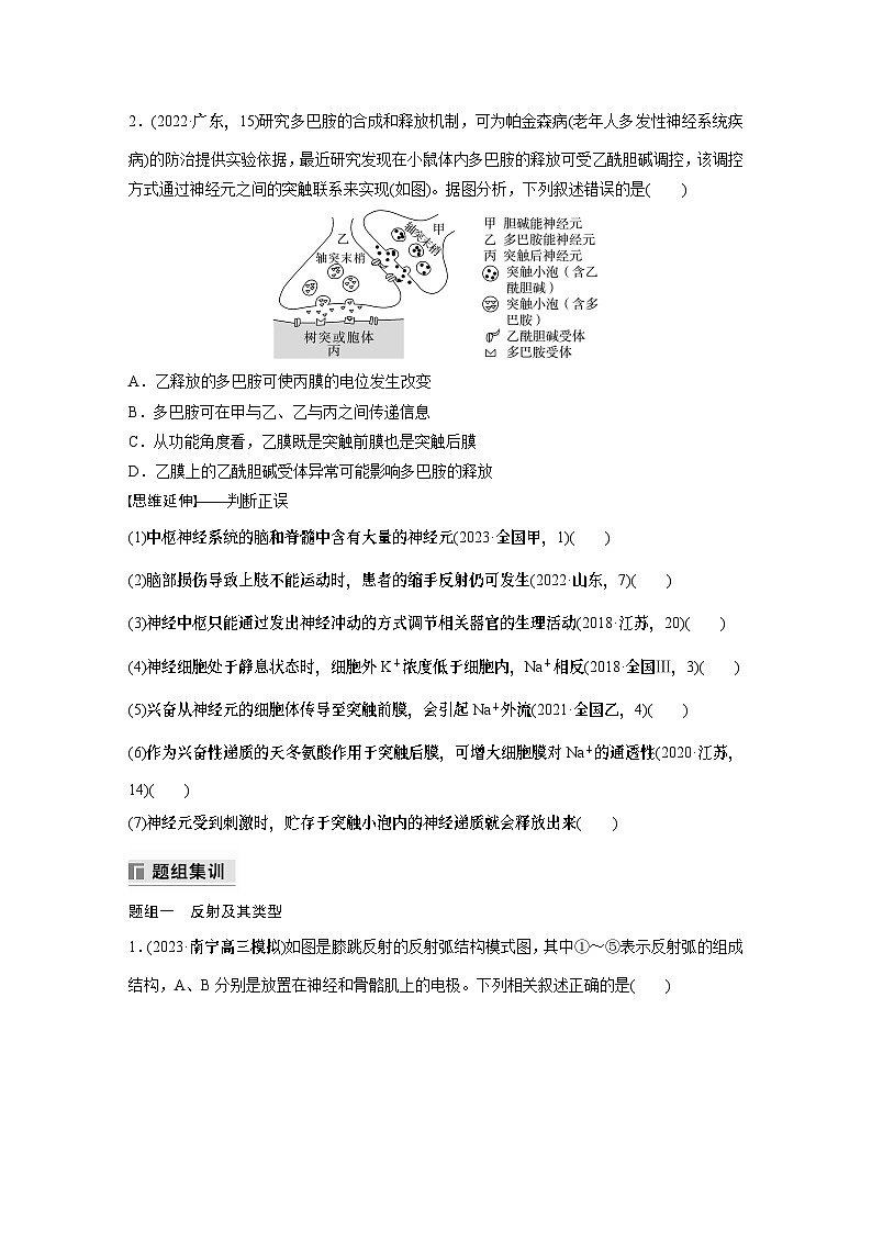 第一篇　主题三　专题(八)　命题点2　神经调节第3页