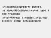 第一篇　主题三　专题(八)　命题点4　免疫调节 2024年高考生物二轮复习课件+讲义