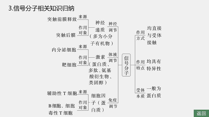 第一篇　主题三　专题(八)　命题点4　免疫调节第8页