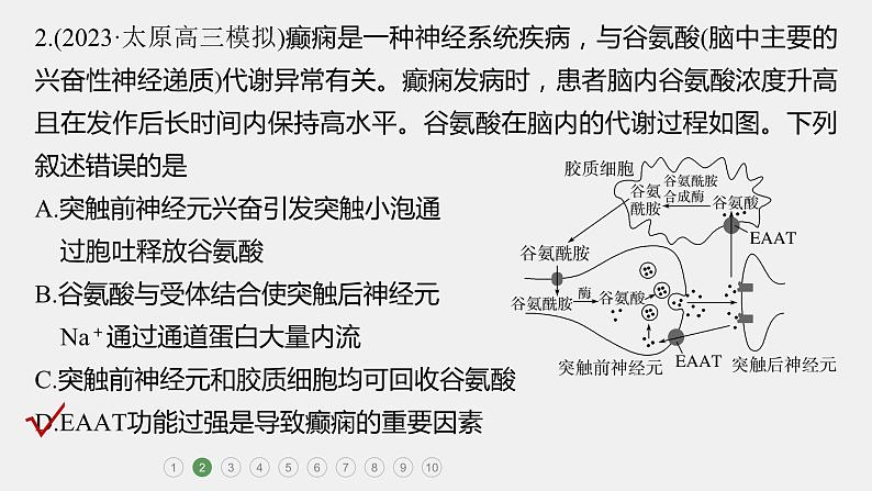 第一篇　主题三　专题(八)　专题强化练B 动物和人体生命活动的调节B 2024年高考生物二轮复习课件+讲义04