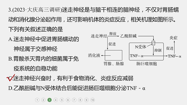 第一篇　主题三　专题(八)　专题强化练B 动物和人体生命活动的调节B 2024年高考生物二轮复习课件+讲义07