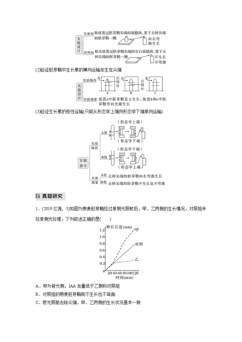 第一篇　主题三　专题(九)　命题点1　生长素的发现和作用（教师版）第3页