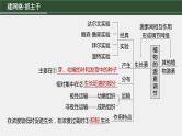 第一篇　主题三　专题(九)　命题点1　生长素的发现和作用 2024年高考生物二轮复习课件+讲义