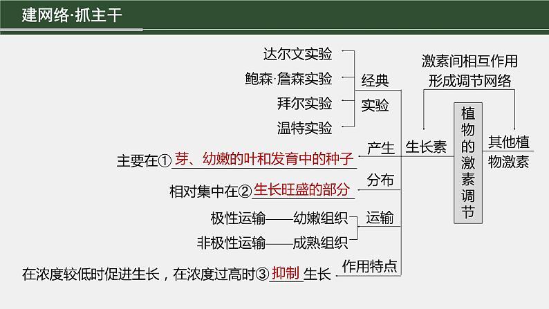 第一篇　主题三　专题(九)　命题点1　生长素的发现和作用第3页