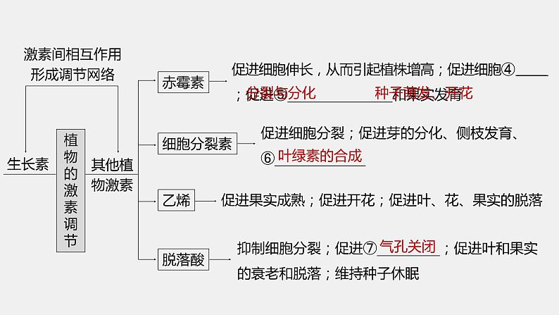 第一篇　主题三　专题(九)　命题点1　生长素的发现和作用第4页