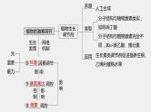 第一篇　主题三　专题(九)　命题点1　生长素的发现和作用 2024年高考生物二轮复习课件+讲义