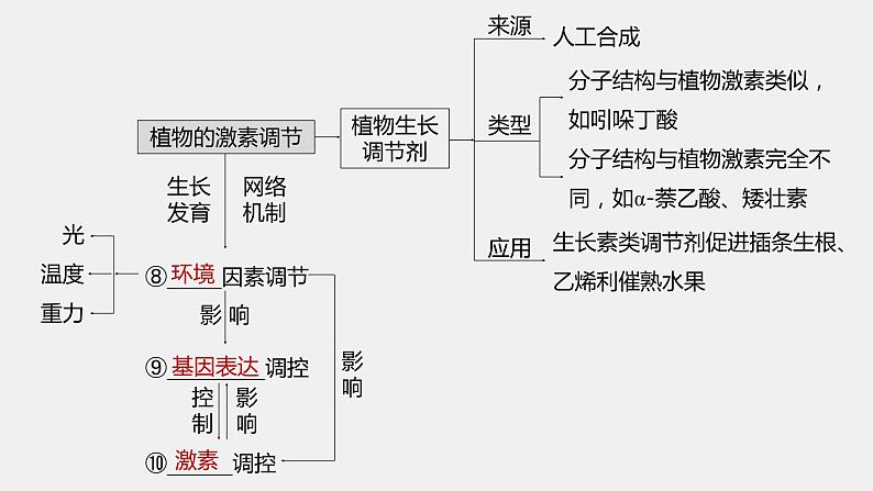 第一篇　主题三　专题(九)　命题点1　生长素的发现和作用第5页