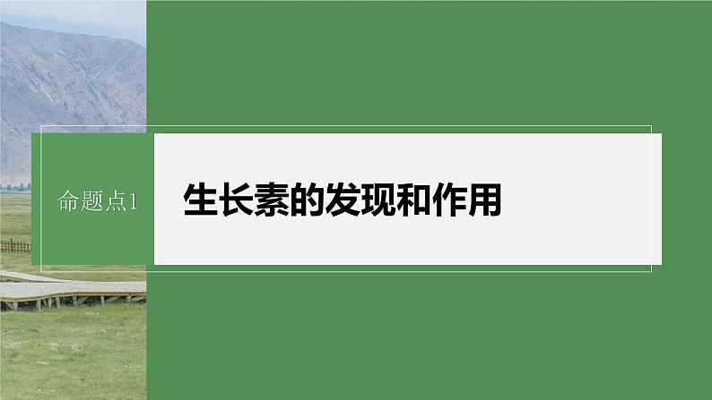 第一篇　主题三　专题(九)　命题点1　生长素的发现和作用第6页