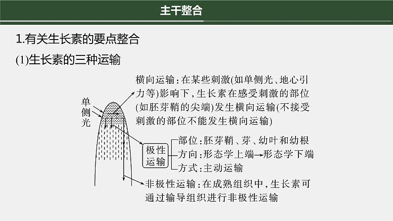 第一篇　主题三　专题(九)　命题点1　生长素的发现和作用第8页