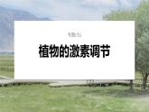 第一篇　主题三　专题(九)　命题点2　其他植物激素及作用 2024年高考生物二轮复习课件+讲义