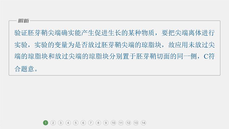 第一篇　主题三　专题(九)　专题强化练 植物的激素调节 2024年高考生物二轮复习课件+讲义03