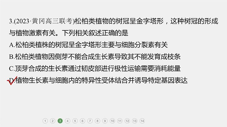 第一篇　主题三　专题(九)　专题强化练 植物的激素调节 2024年高考生物二轮复习课件+讲义05