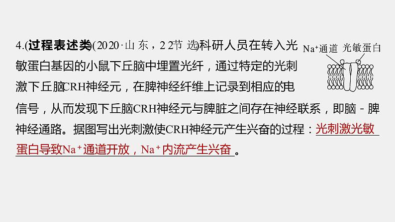 第一篇　主题三　语言表达(三)　个体稳态中相关过程变化机理分析 2024年高考生物二轮复习课件+讲义06