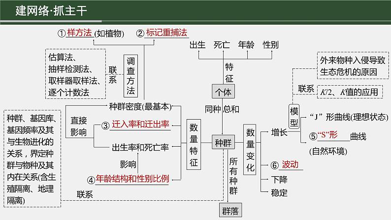 第一篇　主题四　专题(十)　命题点1　种群的特征及种群的数量变化第3页