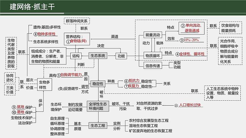 第一篇　主题四　专题(十一)　命题点1　生态系统的结构和功能第3页