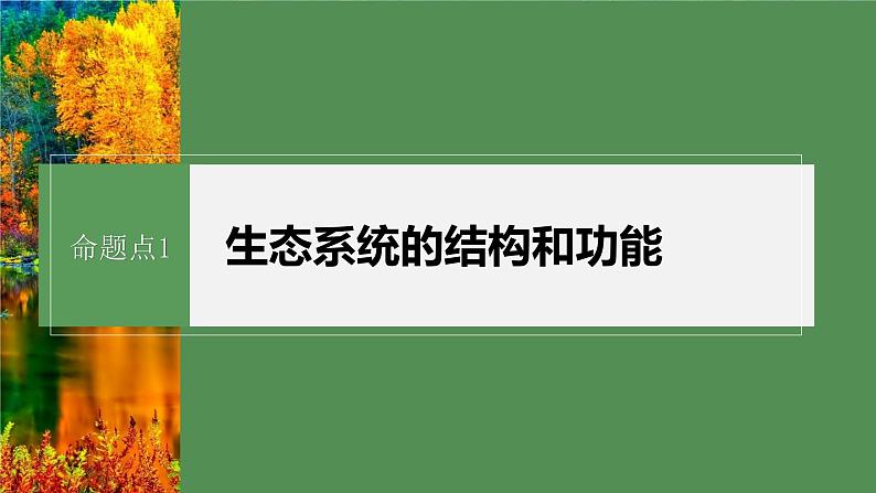 第一篇　主题四　专题(十一)　命题点1　生态系统的结构和功能第4页