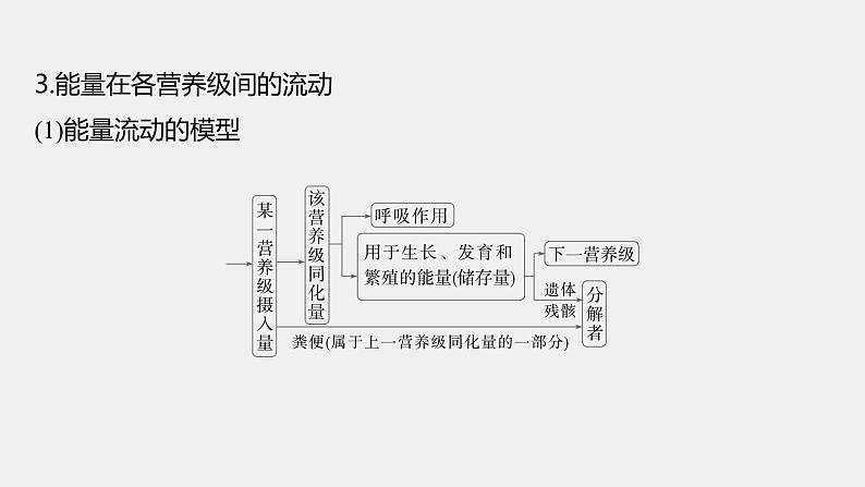 第一篇　主题四　专题(十一)　命题点1　生态系统的结构和功能第8页