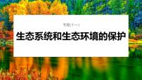 第一篇　主题四　专题(十一)　命题点2　生态系统的稳定性及人与环境 2024年高考生物二轮复习课件+讲义