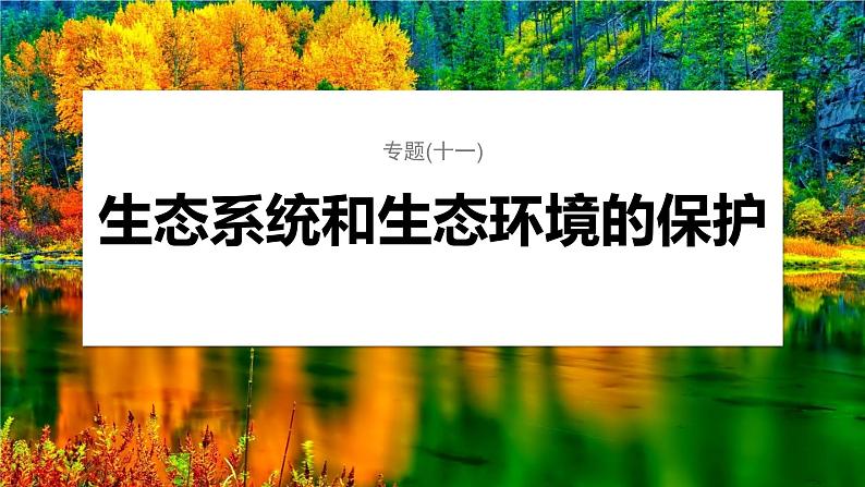 第一篇　主题四　专题(十一)　命题点2　生态系统的稳定性及人与环境 2024年高考生物二轮复习课件+讲义01