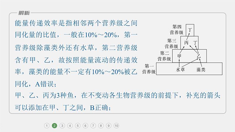 第一篇　主题四　专题(十一)　专题强化练 生态系统和生态环境的保护 2024年高考生物二轮复习课件+讲义05