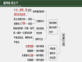 第一篇　主题五　专题(十二)　命题点1　传统发酵技术 2024年高考生物二轮复习课件+讲义