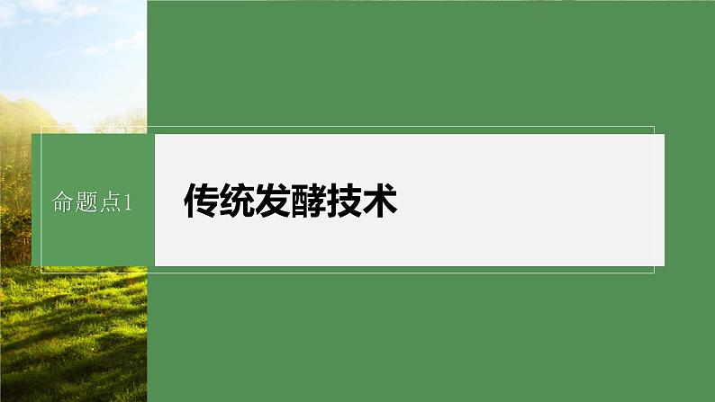 第一篇　主题五　专题(十二)　命题点1　传统发酵技术 2024年高考生物二轮复习课件+讲义05