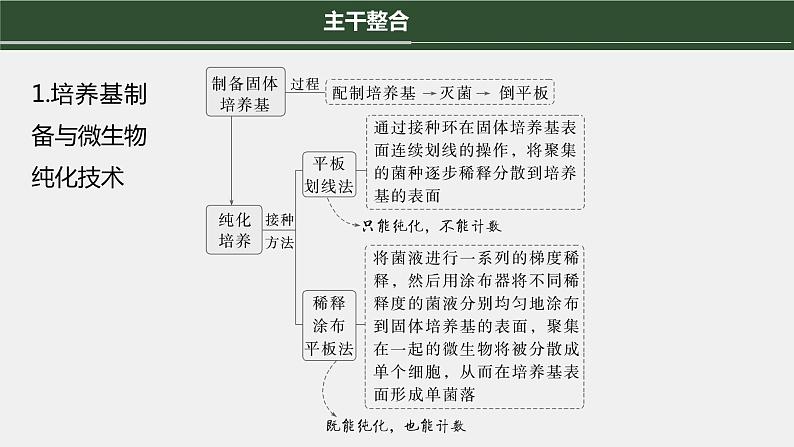 第一篇　主题五　专题(十二)　命题点2　微生物培养 2024年高考生物二轮复习课件+讲义04