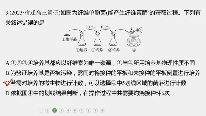 第一篇　主题五　专题(十二)　专题强化练 发酵工程 2024年高考生物二轮复习课件+讲义06