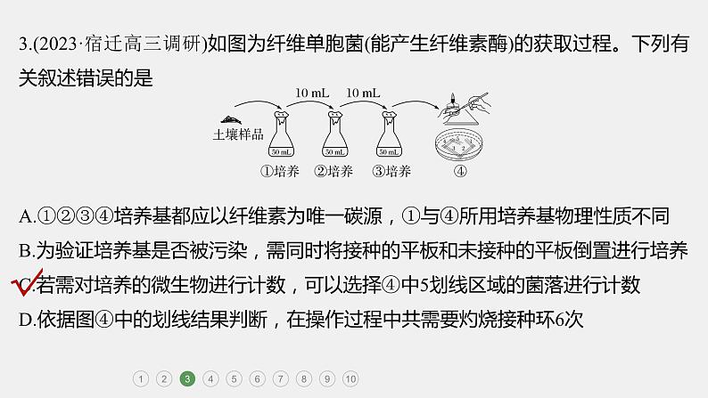 第一篇　主题五　专题(十二)　专题强化练第6页