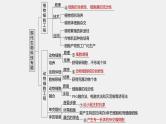 第一篇　主题五　专题(十三)　命题点1　细胞工程 2024年高考生物二轮复习课件+讲义