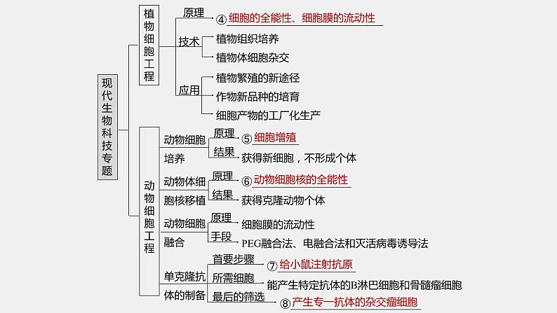 第一篇　主题五　专题(十三)　命题点1　细胞工程第4页