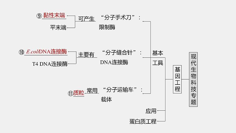 第一篇　主题五　专题(十三)　命题点1　细胞工程第5页