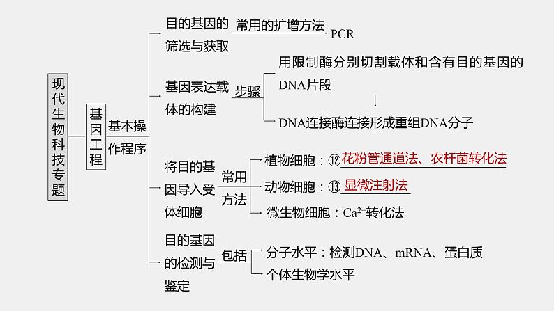 第一篇　主题五　专题(十三)　命题点1　细胞工程第6页