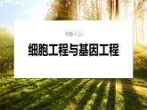 第一篇　主题五　专题(十三)　命题点3　基因工程 2024年高考生物二轮复习课件+讲义