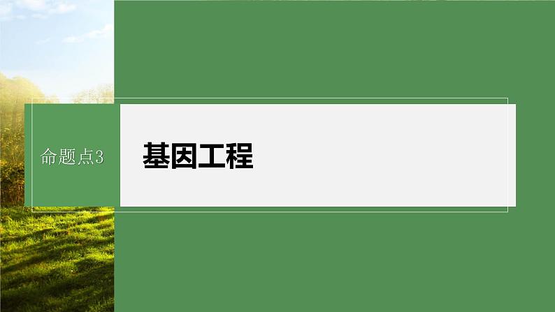 第一篇　主题五　专题(十三)　命题点3　基因工程第2页