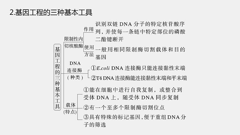 第一篇　主题五　专题(十三)　命题点3　基因工程第5页