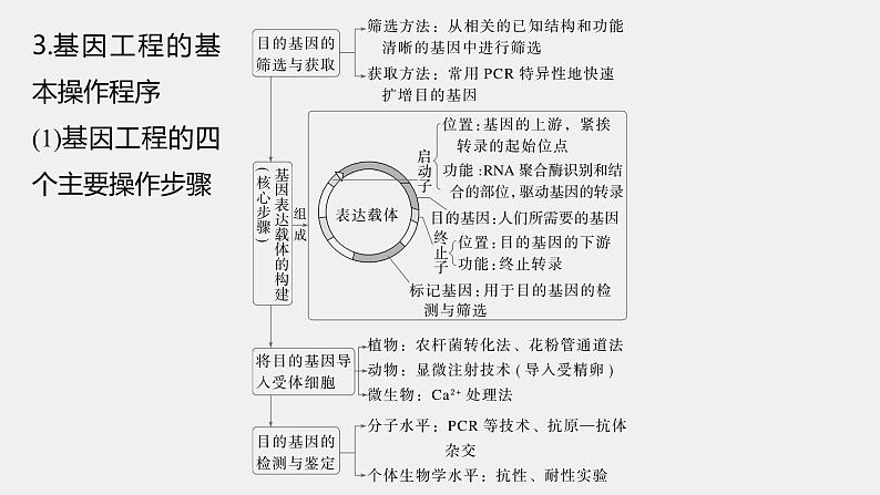 第一篇　主题五　专题(十三)　命题点3　基因工程第6页