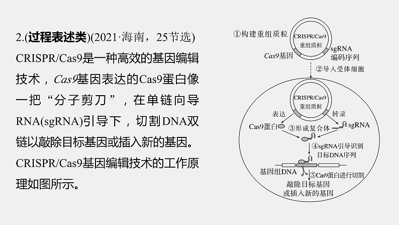 第一篇　主题五　语言表达(五)　生物工程中相关原理、过程分析 2024年高考生物二轮复习课件+讲义06