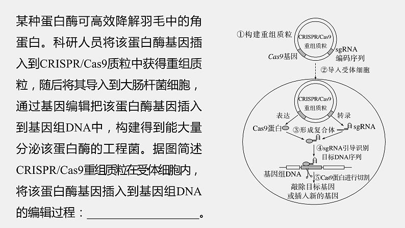 第一篇　主题五　语言表达(五)　生物工程中相关原理、过程分析 2024年高考生物二轮复习课件+讲义07