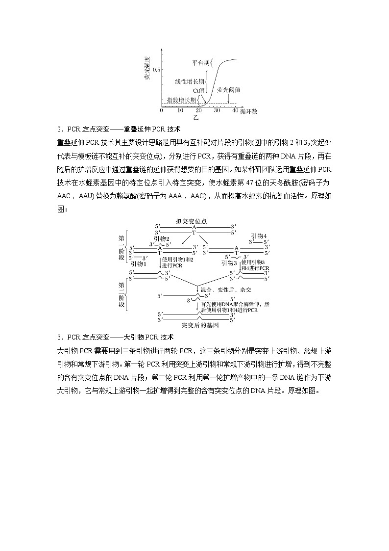 第一篇　主题五　高考热点(五)　PCR的应用 2024年高考生物二轮复习课件+讲义02