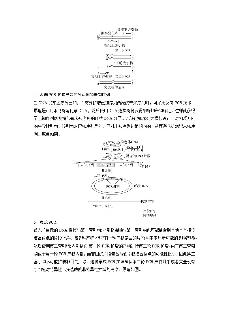 第一篇　主题五　高考热点(五)　PCR的应用 2024年高考生物二轮复习课件+讲义03