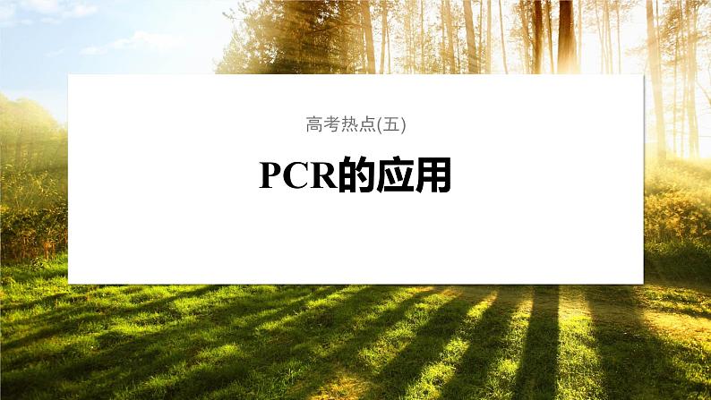 第一篇　主题五　高考热点(五)　PCR的应用 2024年高考生物二轮复习课件+讲义01