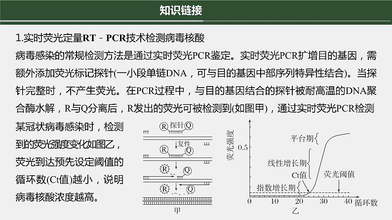 第一篇　主题五　高考热点(五)　PCR的应用 2024年高考生物二轮复习课件+讲义05