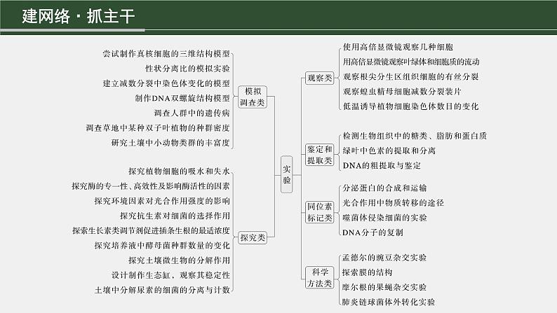 第一篇　主题六　专题(十四)　命题点1　教材基础实验 2024年高考生物二轮复习课件+讲义03