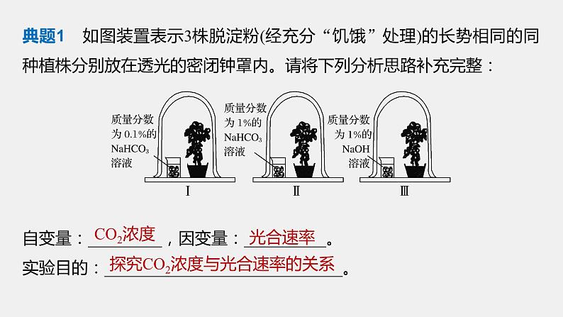 第一篇　主题六　专题(十四)　命题点3　实验设计分析及答题技巧总结第8页